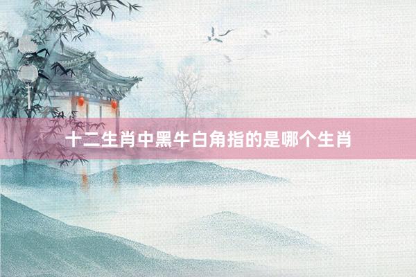 十二生肖中黑牛白角指的是哪个生肖